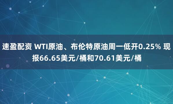 速盈配资 WTI原油、布伦特原油周一低开0.25% 现报66.65美元/桶和70.61美元/桶