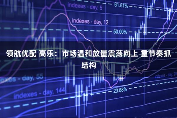 领航优配 高乐：市场温和放量震荡向上 重节奏抓结构